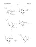 METHODS FOR TREATING RESISTANT DISEASES USING TRIAZOLE CONTAINING     MACROLIDES diagram and image