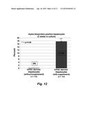 NUCLEOSIDE SUPPLEMENTATION TO PROMOTE CELLULAR FUNCTION, GENETIC STABILITY     AND REGENERATIVE APPLICATIONS diagram and image