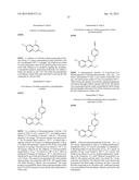 SECONDARY ALCOHOL QUINOLINYL MODULATORS OF RORyt diagram and image