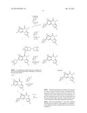 SUBSTITUTED PYRAZOLOQUINAZOLINONES AND PYRROLOQUINAZOLINONES AS ALLOSTERIC     MODULATORS OF GROUP II METABOTROPIC GLUTAMATE RECEPTORS diagram and image