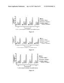 PHARMACEUTICAL COMPOSITION COMPRISING A TRPA1 ANTAGONIST AND AN ANALGESIC     AGENT diagram and image