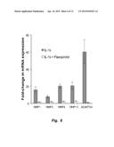 USE OF CDK9 INHIBITORS TO REDUCE CARTILAGE DEGRADATION diagram and image