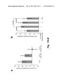 USE OF CDK9 INHIBITORS TO REDUCE CARTILAGE DEGRADATION diagram and image