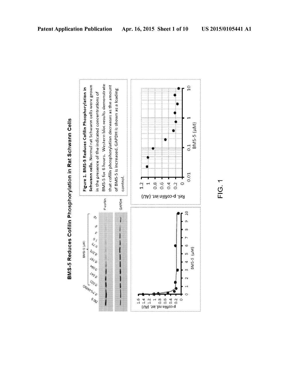 LIM KINASEMODULATING AGENTS FOR NEUROFIBROMATOSES THERAPY AND METHODS FOR     SCREENING FOR SAME - diagram, schematic, and image 02