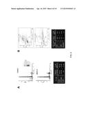 LIM KINASEMODULATING AGENTS FOR NEUROFIBROMATOSES THERAPY AND METHODS FOR     SCREENING FOR SAME diagram and image