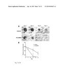 FIDGETIN-LIKE 2 AS A TARGET TO ENHANCE WOUND HEALING diagram and image