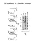 Sparstolonin B Based Pharmaceutical Agent for Neuroblastoma Treatment diagram and image