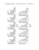 Sparstolonin B Based Pharmaceutical Agent for Neuroblastoma Treatment diagram and image