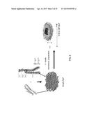 NANOLIPOPROTEIN PARTICLES AND RELATED METHODS AND SYSTEMS FOR PROTEIN     CAPTURE, SOLUBILIZATION, AND/OR PURIFICATION diagram and image