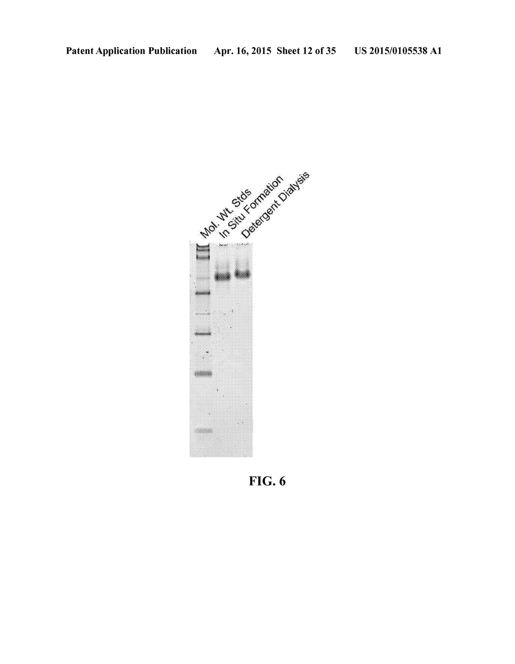 NANOLIPOPROTEIN PARTICLES AND RELATED METHODS AND SYSTEMS FOR PROTEIN     CAPTURE, SOLUBILIZATION, AND/OR PURIFICATION - diagram, schematic, and image 13