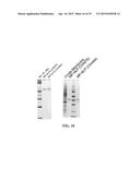 NANOLIPOPROTEIN PARTICLES AND RELATED METHODS AND SYSTEMS FOR PROTEIN     CAPTURE, SOLUBILIZATION, AND/OR PURIFICATION diagram and image