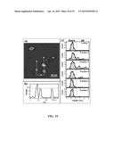 NANOLIPOPROTEIN PARTICLES AND RELATED METHODS AND SYSTEMS FOR PROTEIN     CAPTURE, SOLUBILIZATION, AND/OR PURIFICATION diagram and image