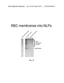 NANOLIPOPROTEIN PARTICLES AND RELATED METHODS AND SYSTEMS FOR PROTEIN     CAPTURE, SOLUBILIZATION, AND/OR PURIFICATION diagram and image