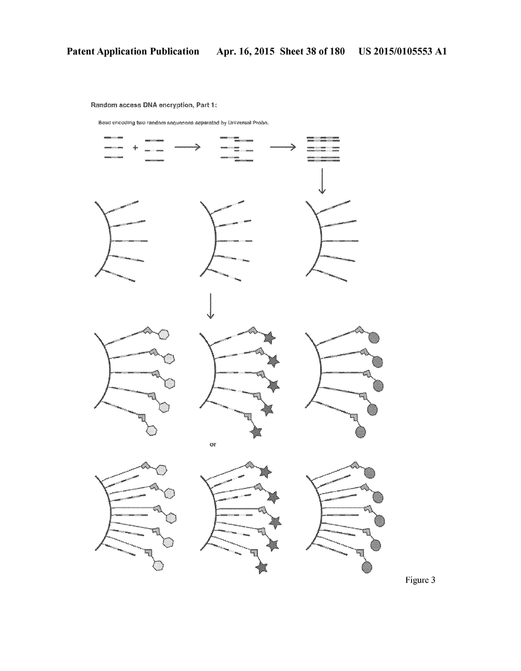 COFERONS AND METHODS OF MAKING AND USING THEM - diagram, schematic, and image 39