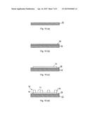 MICROFABRICATED SCINTILLATION DETECTOR diagram and image