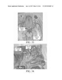 METHOD AND APPARATUS FOR BIOLOGICAL EVALUATION diagram and image