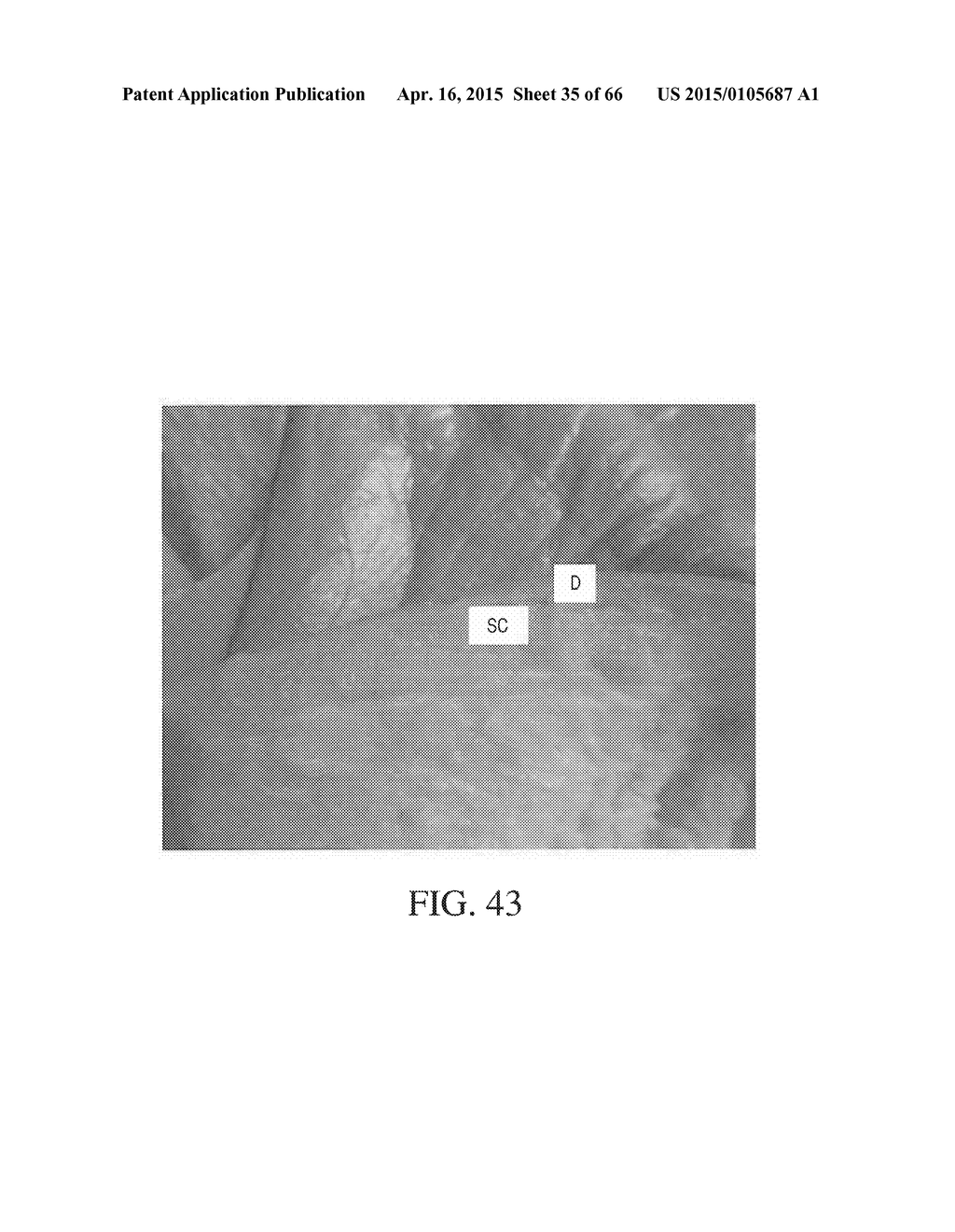 METHOD AND APPARATUS FOR BIOLOGICAL EVALUATION - diagram, schematic, and image 36