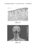 METHOD AND APPARATUS FOR BIOLOGICAL EVALUATION diagram and image