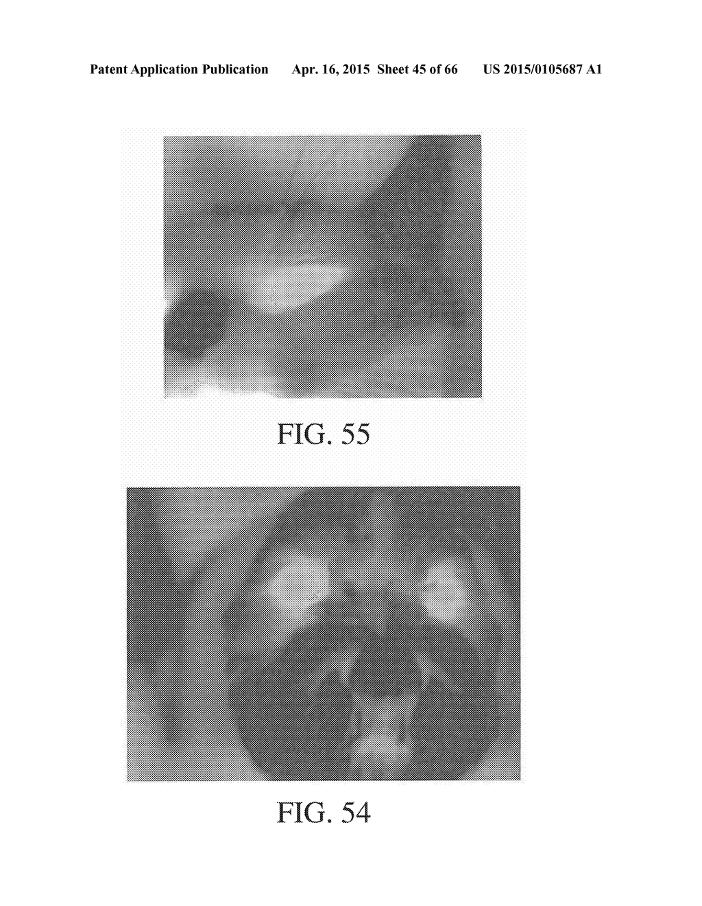 METHOD AND APPARATUS FOR BIOLOGICAL EVALUATION - diagram, schematic, and image 46