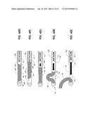 BIOPSY DEVICE diagram and image