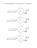 Method and Apparatus for Synthesizing and Analyzing Patterns Utilizing     Novel  Super-Formula  Operator diagram and image