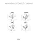 METHOD AND APPARATUS FOR CONSTRUCTING A DYNAMIC ADAPTIVE NEURAL NETWORK     ARRAY (DANNA) diagram and image