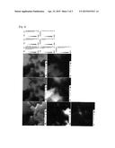 Fe-Based Magnetic Material Sintered Compact diagram and image