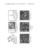 PRODUCTION OF THIN FILM SOLAR GRADE SILICON ON METALS BY ELECTRODEPOSITION     FROM SILICON DIOXIDE IN A MOLTEN SALT diagram and image