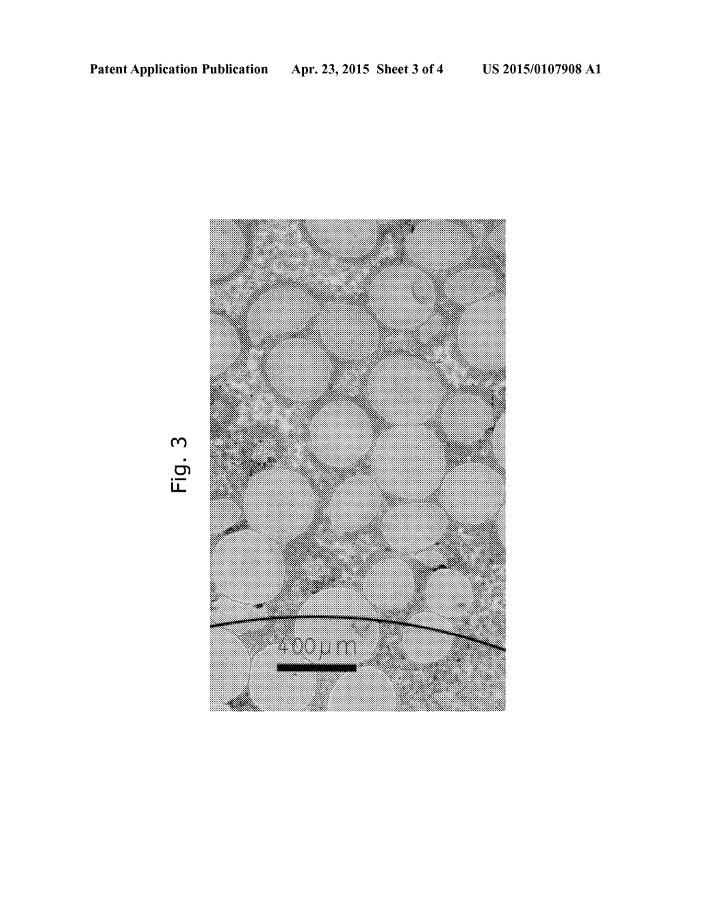 HARD COMPOSITE WITH DEFORMABLE CONSTITUENT AND METHOD OF APPLYING TO     EARTH-ENGAGING TOOL - diagram, schematic, and image 04