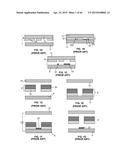 Microprobe Tips and Methods for Making diagram and image