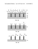 Microprobe Tips and Methods for Making diagram and image