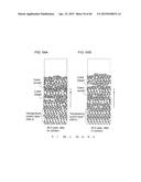 Display Device diagram and image