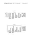 DYNAMIC MEDIUM SWITCHING FOR HYBRID NETWORKS diagram and image