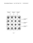 EMPHASIZED SIGNAL POINT ARRANGEMENT OPERATION FOR COMPENSATING DC     IMBALANCE diagram and image