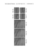 REMOVAL OF IMAGE ARTIFACTS FROM SENSOR DUST diagram and image