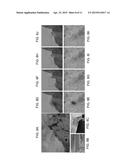 REMOVAL OF IMAGE ARTIFACTS FROM SENSOR DUST diagram and image