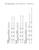 MODIFICATION OF CXCR4 USING ENGINEERED ZINC FINGER PROTEINS diagram and image