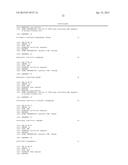 MODIFICATION OF CXCR4 USING ENGINEERED ZINC FINGER PROTEINS diagram and image