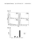 DELIVERY METHODS AND COMPOSITIONS FOR NUCLEASE-MEDIATED GENOME ENGINEERING diagram and image