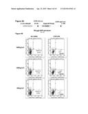 DELIVERY METHODS AND COMPOSITIONS FOR NUCLEASE-MEDIATED GENOME ENGINEERING diagram and image