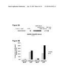 DELIVERY METHODS AND COMPOSITIONS FOR NUCLEASE-MEDIATED GENOME ENGINEERING diagram and image