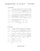 BISPECIFIC ANTIBODIES WITH AN FGF2 BINDING DOMAIN diagram and image