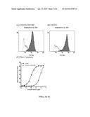 Bispecific SCFV Immunofusion (BIF) diagram and image