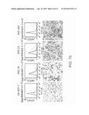 Humanized Anti-Epiregulin Antibody, and Cancer Therapeutic Agent     Comprising Said Antibody as Active Ingredient diagram and image