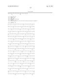 Humanized Anti-Epiregulin Antibody, and Cancer Therapeutic Agent     Comprising Said Antibody as Active Ingredient diagram and image