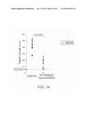 Humanized Anti-Epiregulin Antibody, and Cancer Therapeutic Agent     Comprising Said Antibody as Active Ingredient diagram and image