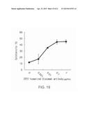 Humanized Anti-Epiregulin Antibody, and Cancer Therapeutic Agent     Comprising Said Antibody as Active Ingredient diagram and image