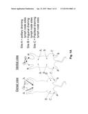 ANTIBODY PRODUCTION METHODS diagram and image