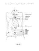 ANTIBODY PRODUCTION METHODS diagram and image