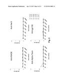 ANTIBODY PRODUCTION METHODS diagram and image